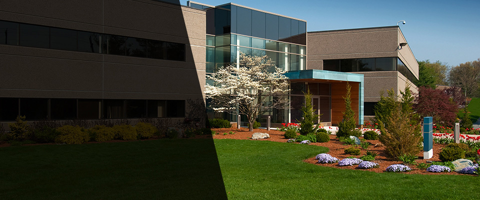 Grant Park Landscapers