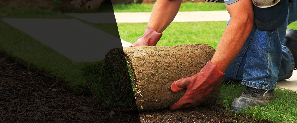 Grant Park Landscapers